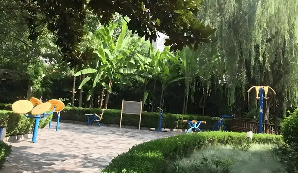 深户专科多少积分_汪苏泷张碧晨的《年轮》之争，好多疑点 晨的年轮人可年轻以：